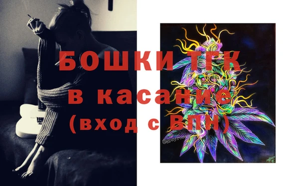 сатива Алзамай