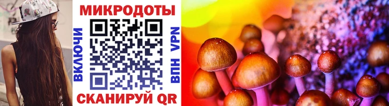 купить закладку  Благодарный  Галлюциногенные грибы Psilocybine cubensis 